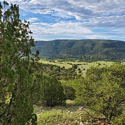 Beautiful views and forest wilderness