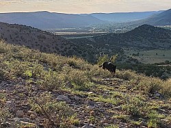 Mountains and canyons adjoin the property