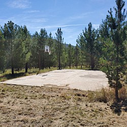 Basketball 1/2 court