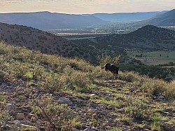 Climb a mountain and view the Hondo Valley