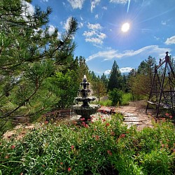 Beautiful landscaping with water fountains, warerfalls, ponds and creeks