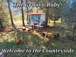 The Groovy Ruby. A 1962 vintage travel trailer set in the pines